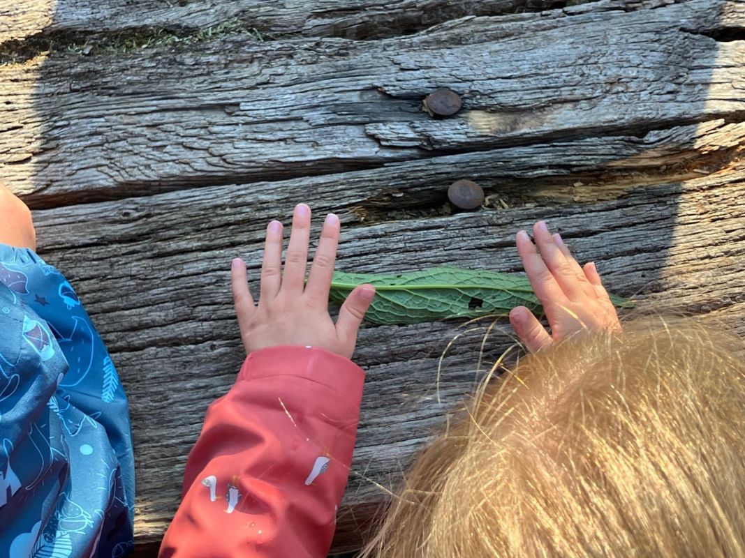 Eveil à la nature spécial 18 mois - 4 ans : A la recherche des petites bêtes