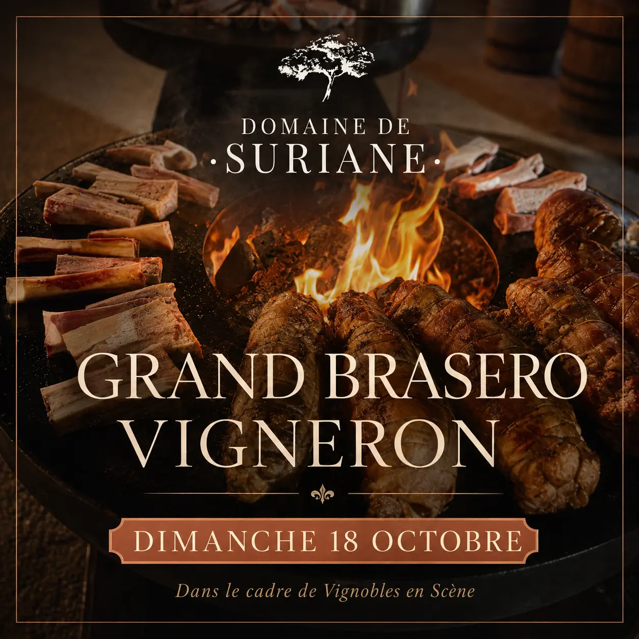 Vignobles en scène au Domaine de Suriane