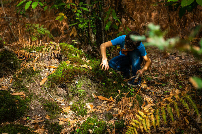 Faites de la musique!