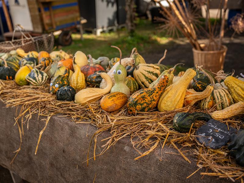 Marché d'automne