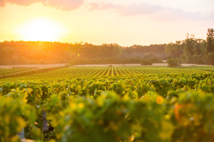 Les portes ouvertes de Pessac-Léognan