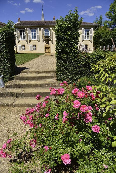 Atelier - Fleuriste en herbe