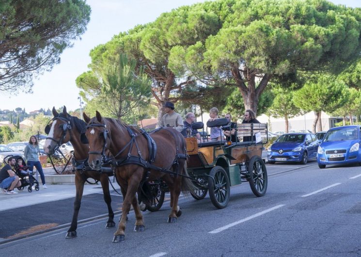TOUR EN CALÈCHES AUTOUR DU MARCHÉ