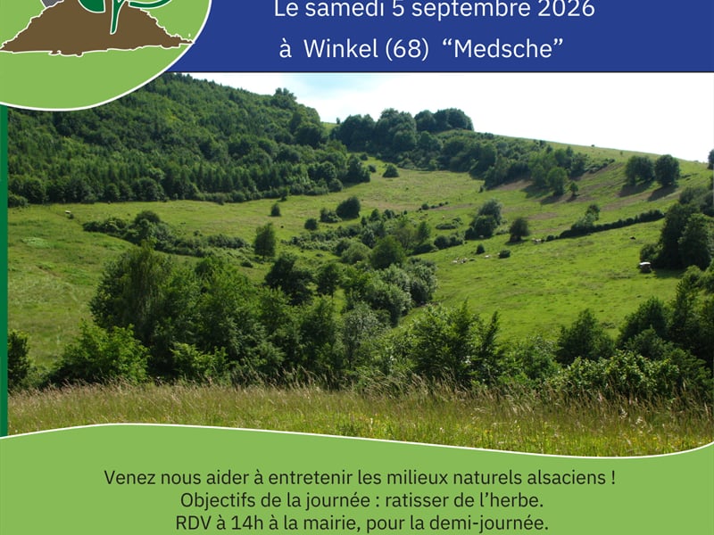 Chantier nature participatif