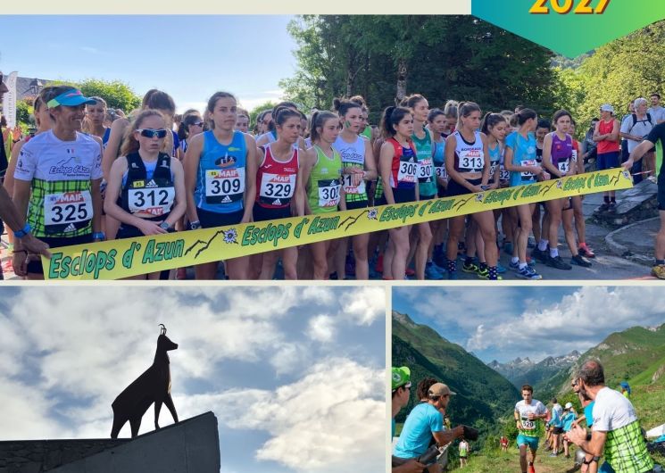 Championnat de France de course verticale et de course en montagne