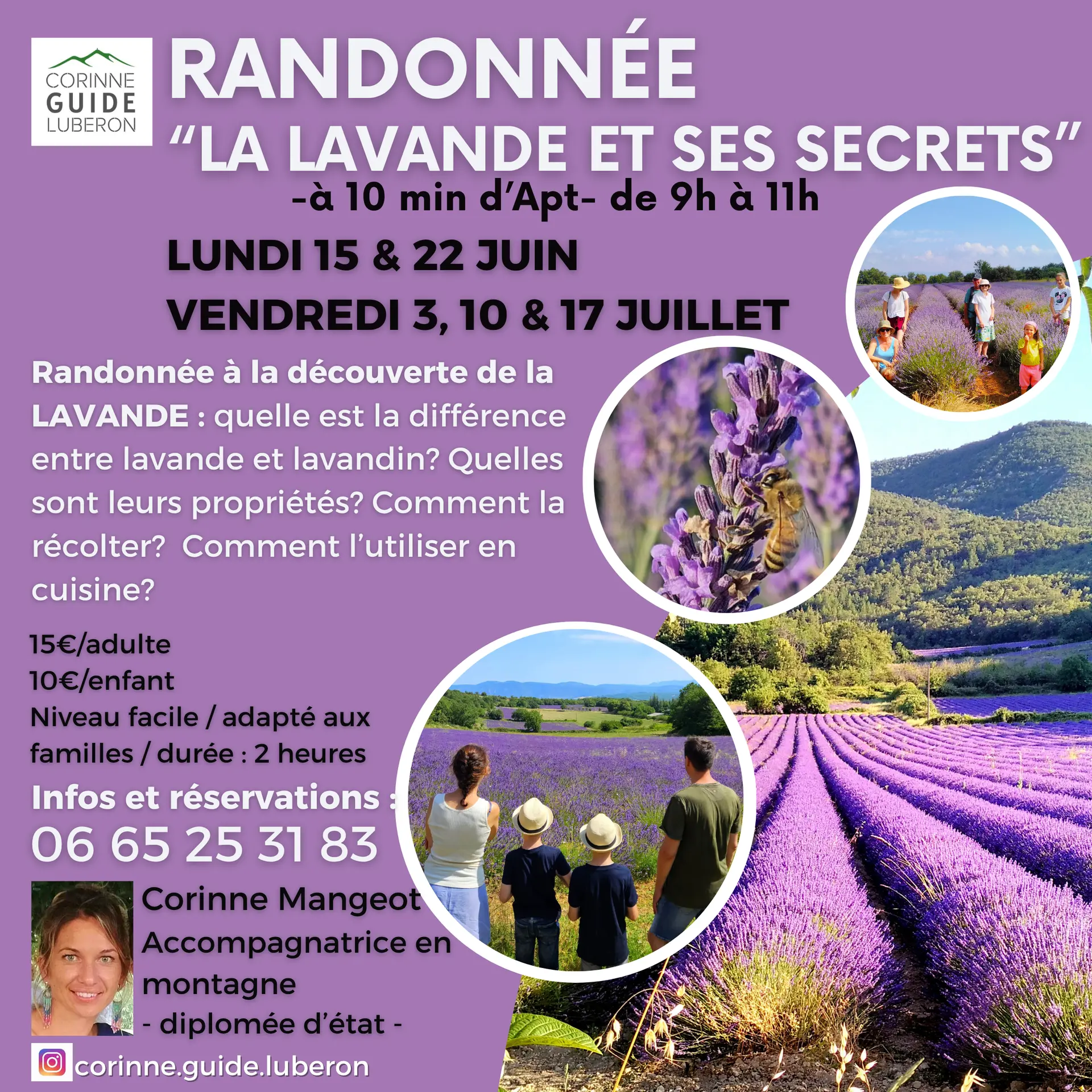 Randonnée La Lavande et ses secrets