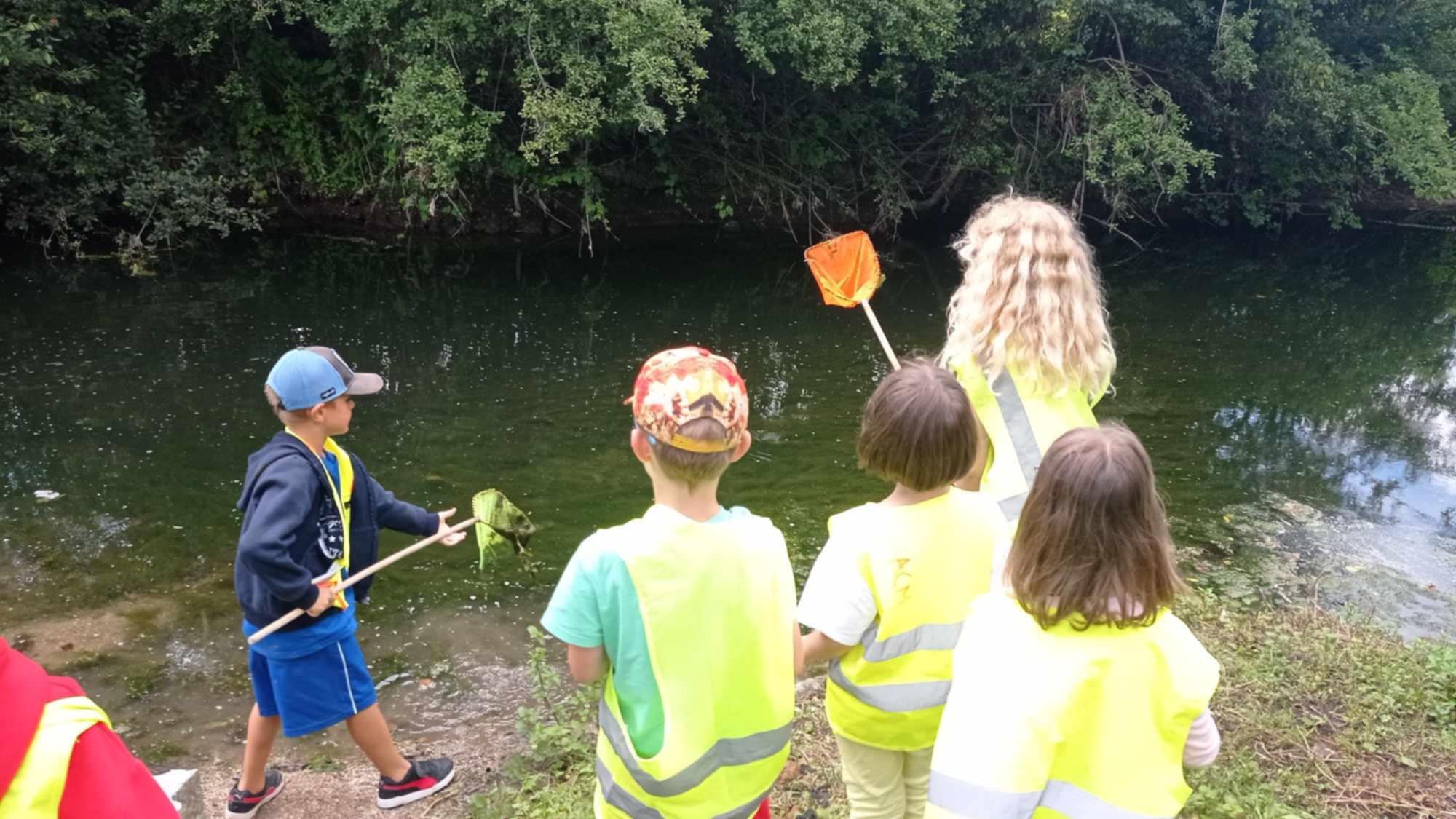 Atelier famille “À vos épuisettes ! découverte des petites bêtes de la mare ”