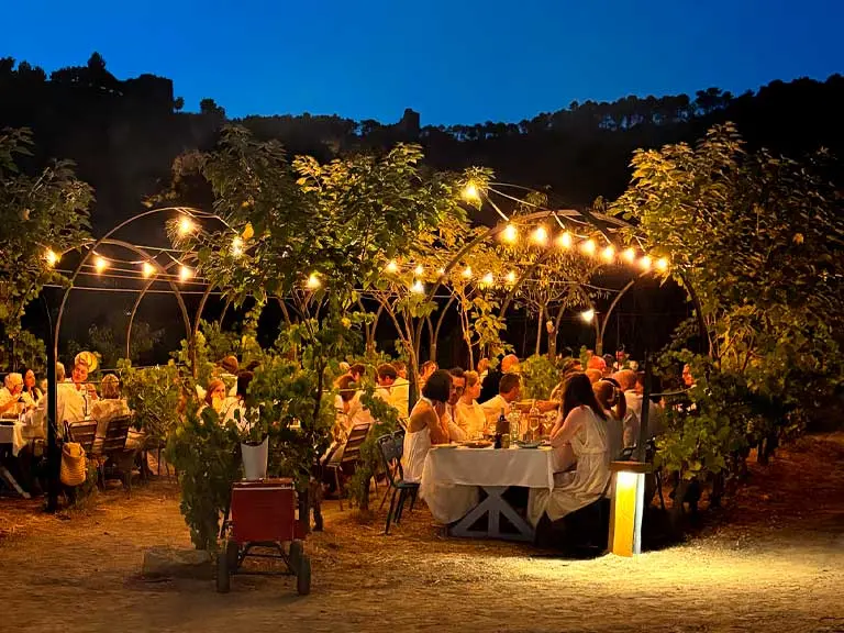 Soirée blanche dans les vignes
