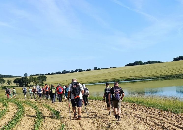 Estivales pédestres : randonnée accompagnée