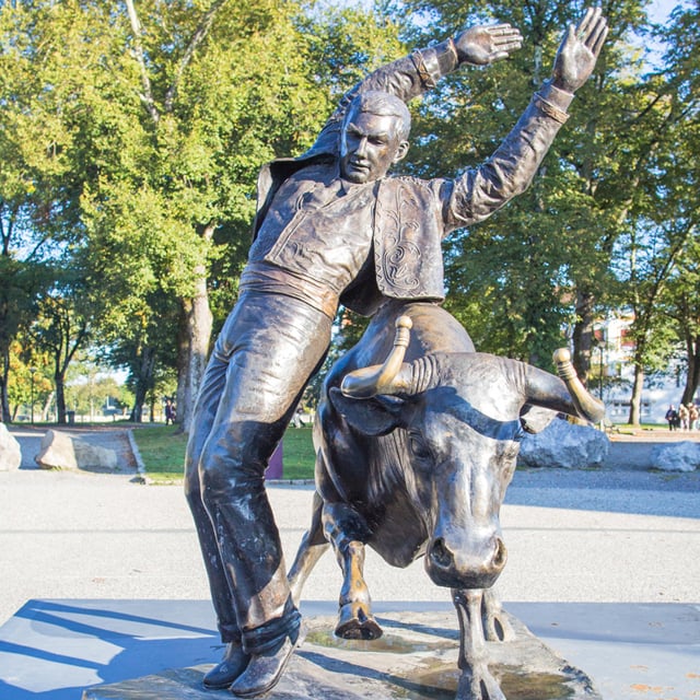 Visite guidée : Course landaise