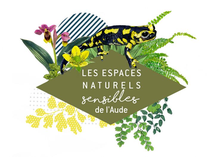 ENS – SUR LES TRACES DES PETITES BÊTES