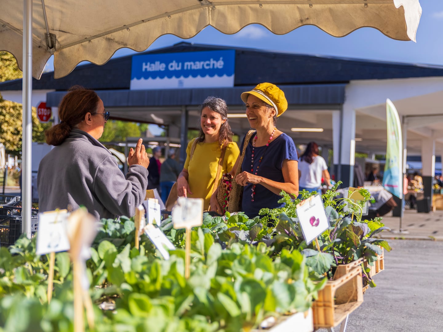 Le stand "tourisme & loisirs" Coteaux Béarn Madiran s’invite au marché !