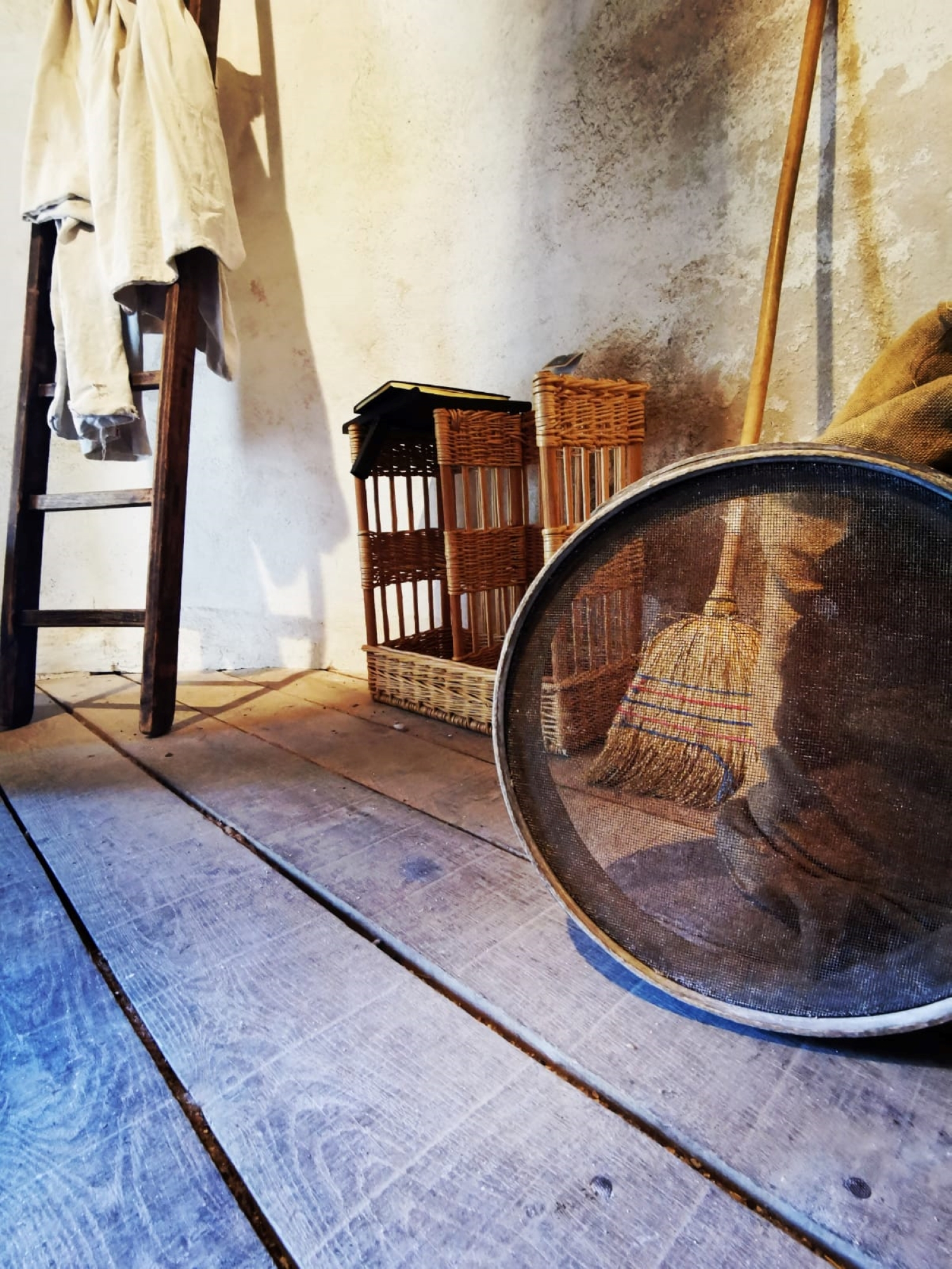 Visite guidée du moulin "Louis Ricard"