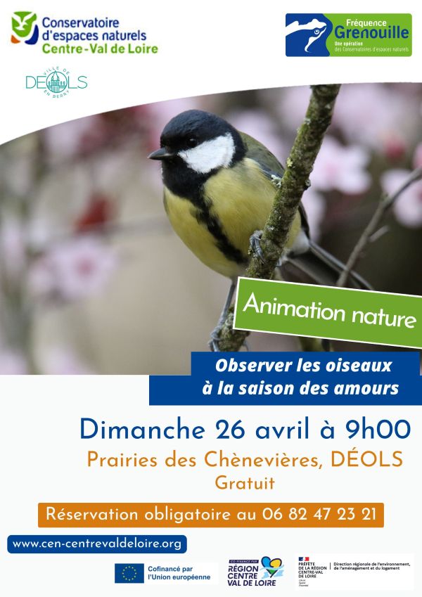 Balade nature sur les prairies des Chènevières « Observer les oiseaux à la saison des amours»