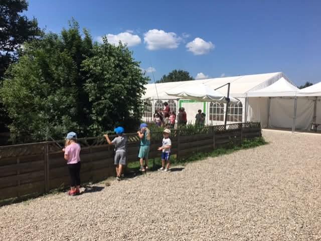 Activité : initiation à la pêche