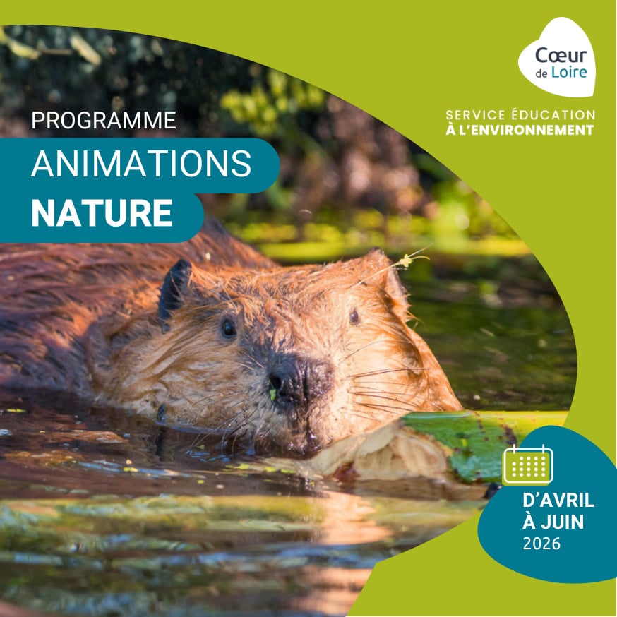 Club nature adulte "déconstruire nos idées reçues sur les animaux"