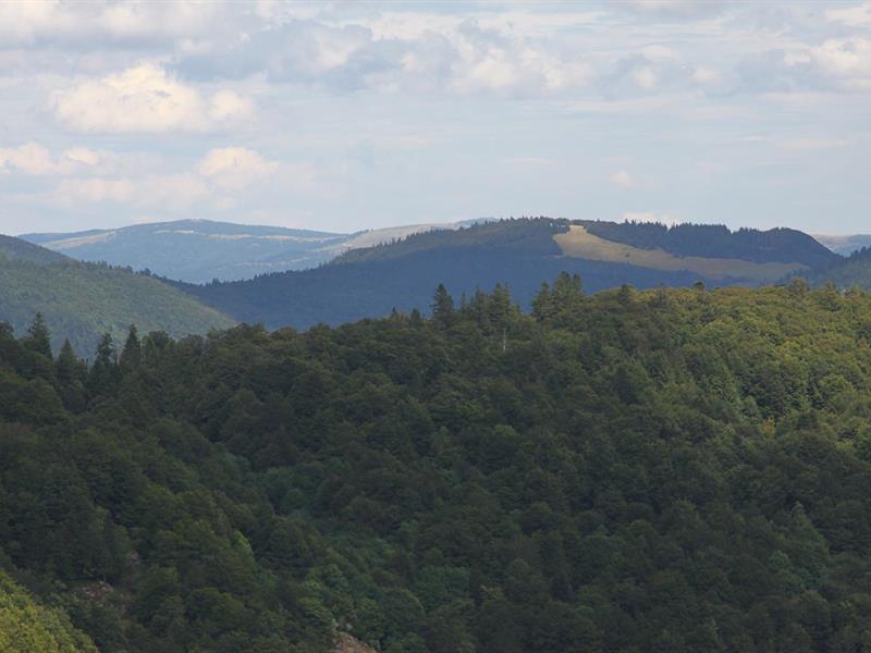 Sortie : Histoire des paysages du Ballon d'Alsace