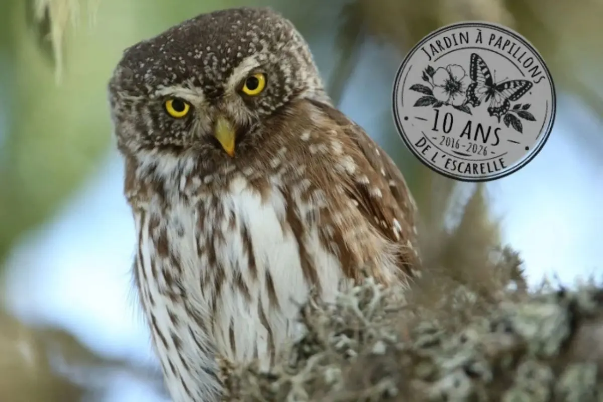 La nature fait son show