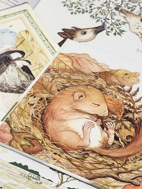 "La Bébé-Bib" : les toutes petites lectures