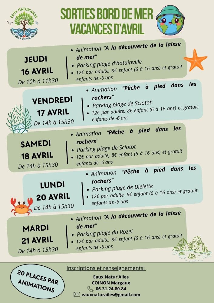 A la découverte de la laisse de mer