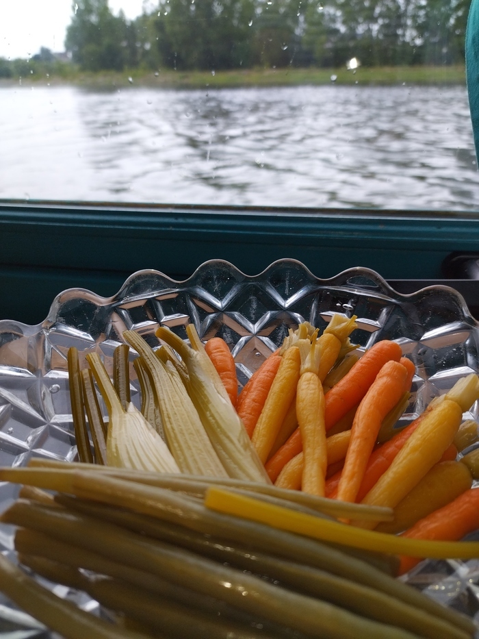 Promenade Brunch végétarien sur la Loire en bateau