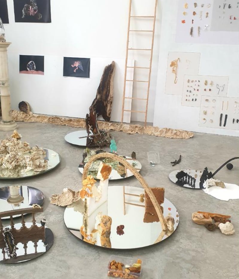 Exposition : Artifices Naturels