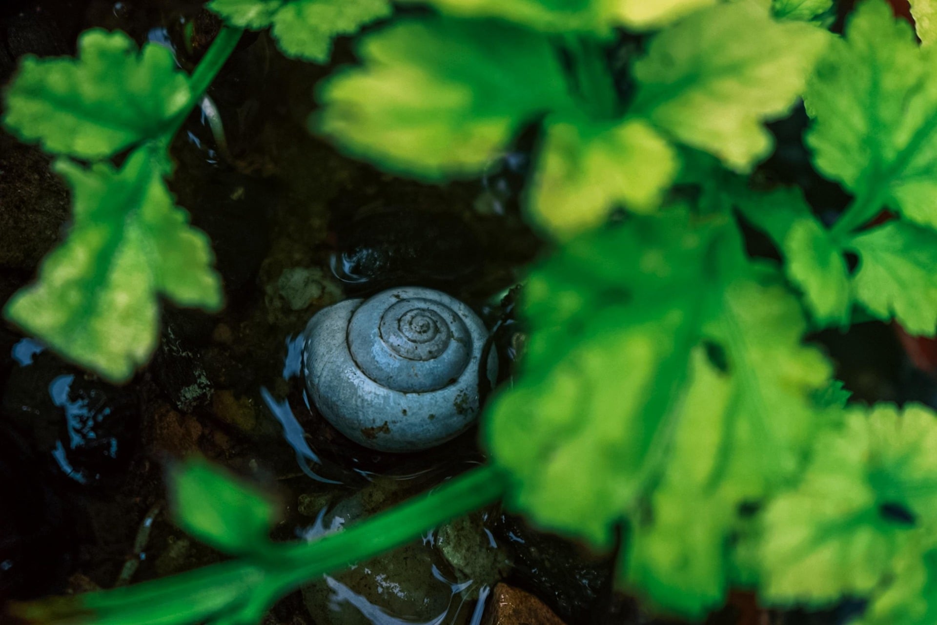 Sortie nature avec le CEN Nouvelle-Aquitaine