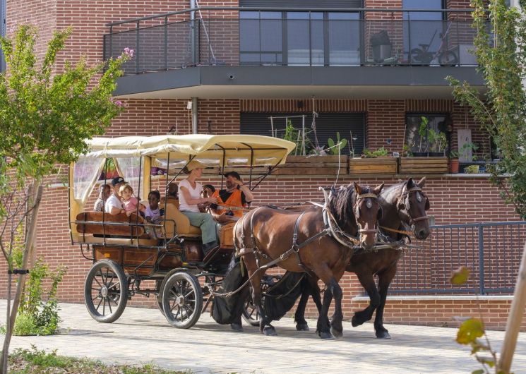 BALADE EN CALÈCHE DANS LE CENTRE ANCIEN