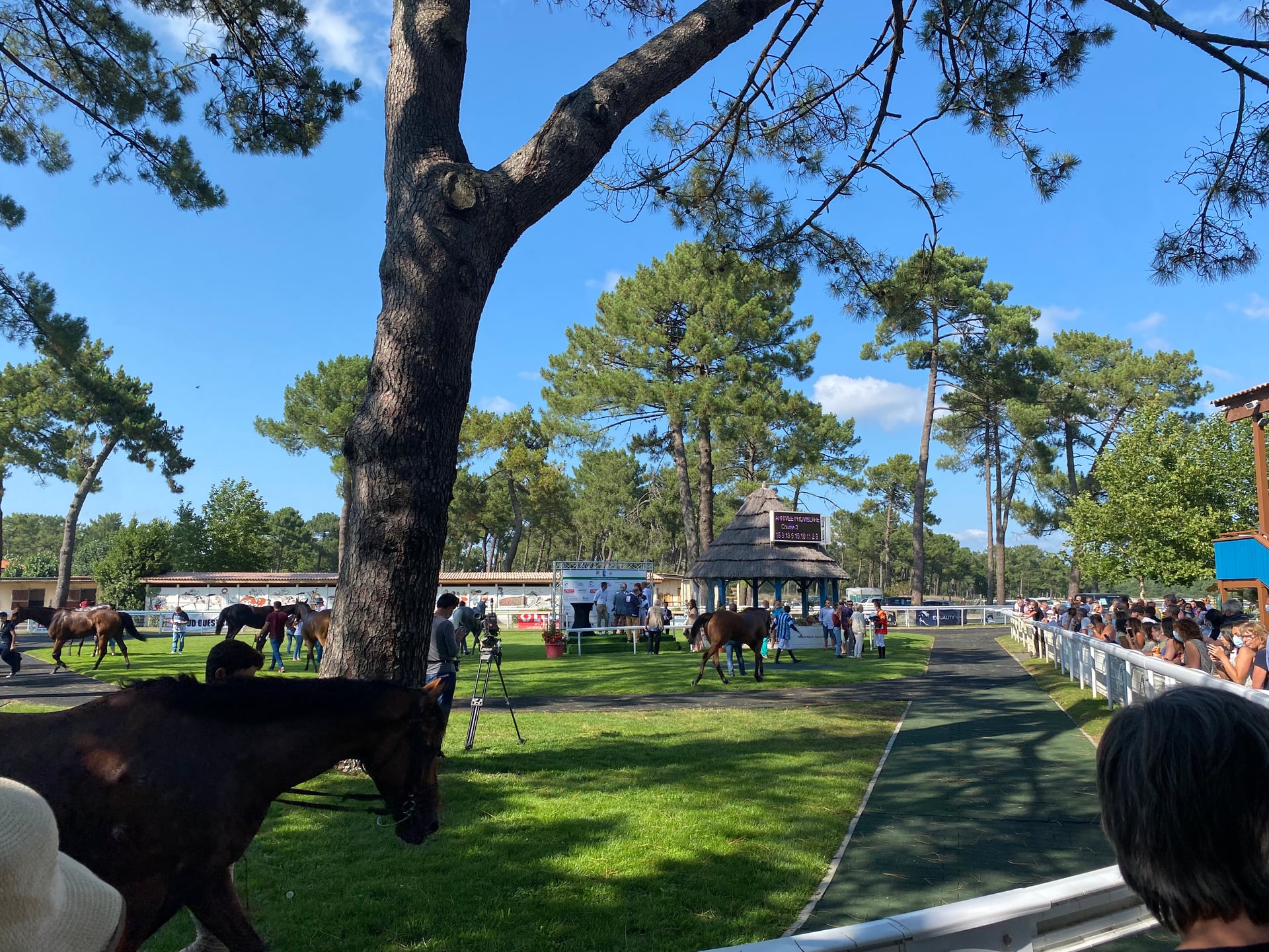 Visite privilège à l'hippodrome un jour de courses