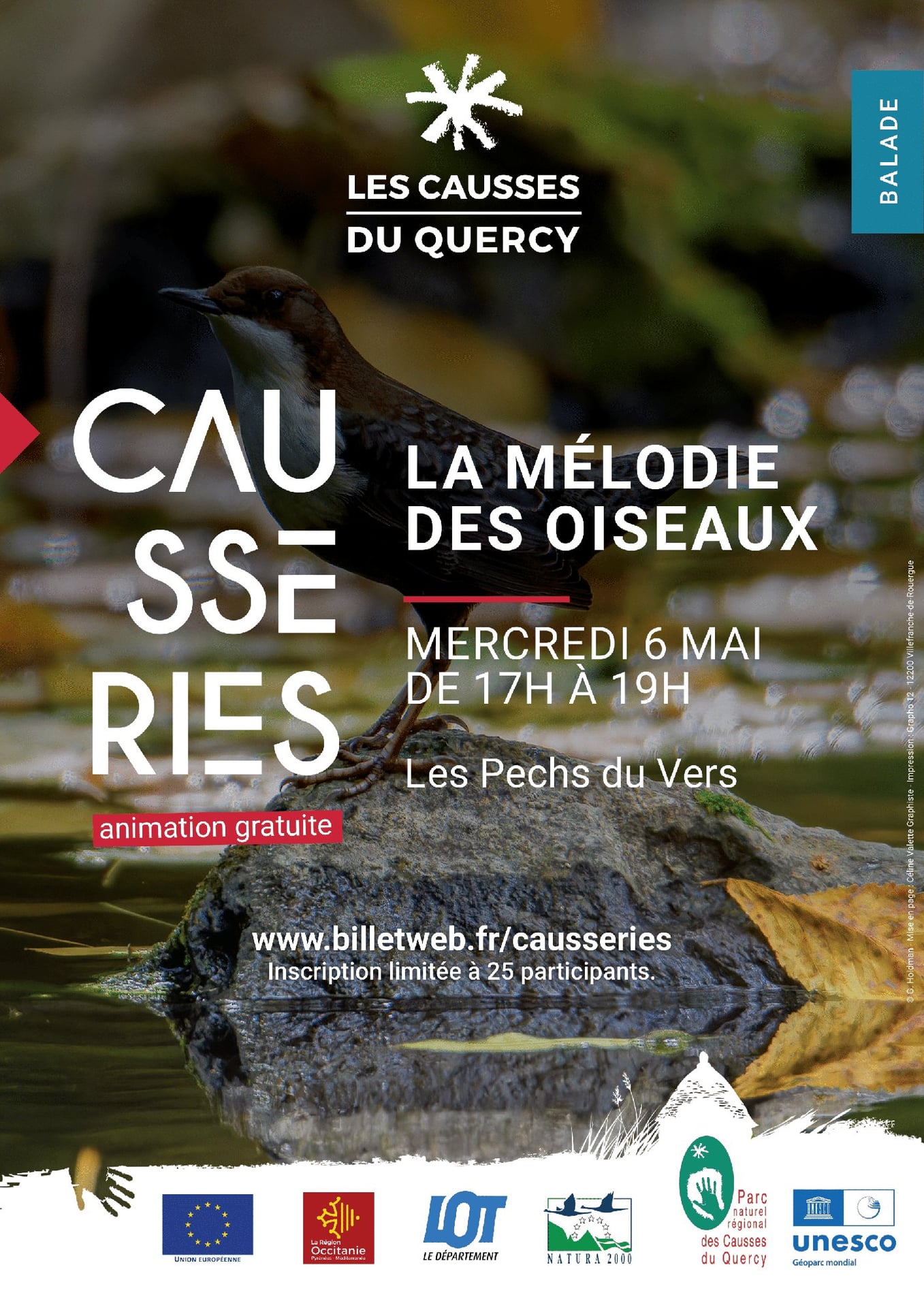 La mélodie des oiseaux