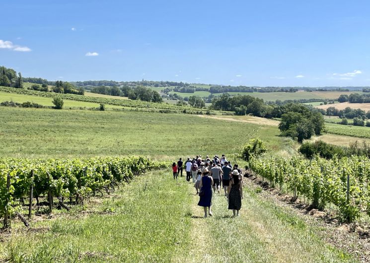 Balade commentée à la découverte des cépages – Château Lacroux