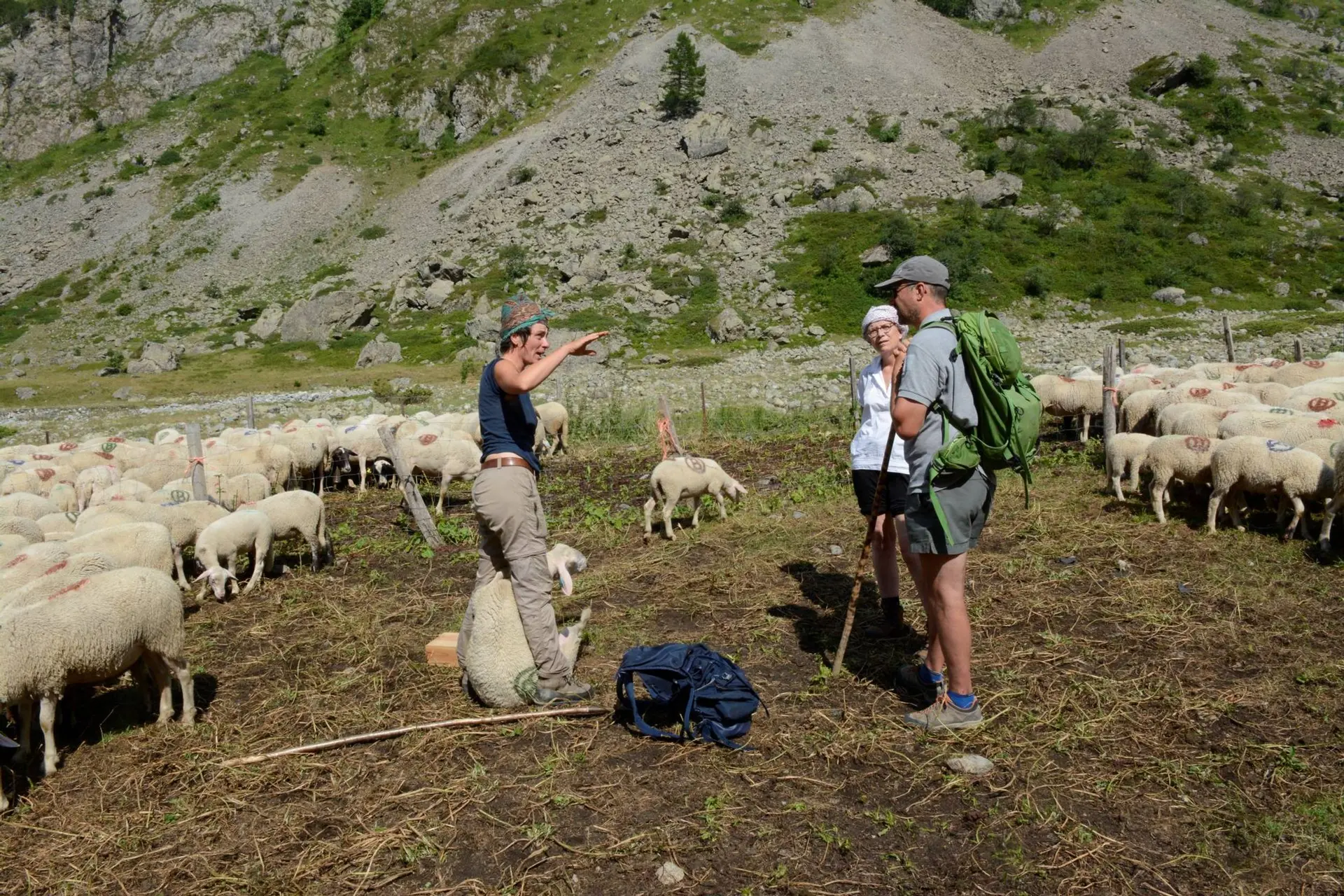 Rdv avec le Parc : biodiversité et pastoralisme