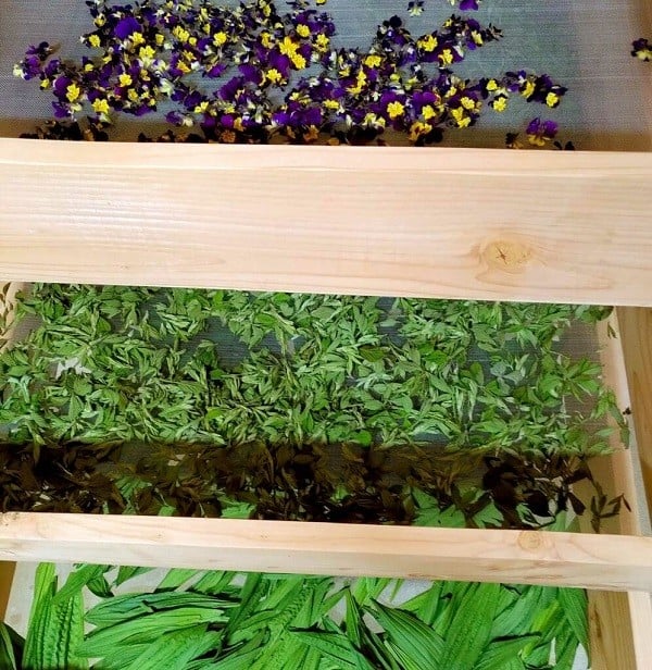 Au Jardin de Kaouenn