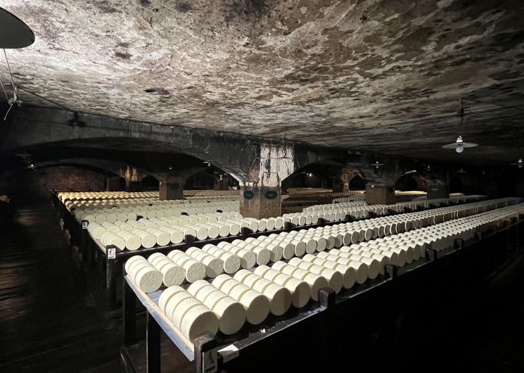AU CŒUR DU LARZAC : ROQUEFORT, VILLAGE TEMPLIER ET LAC DU SALAGOU AVEC TERRA IMMERS’