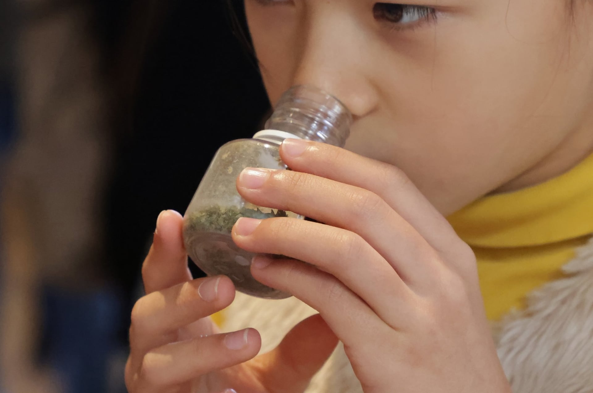 Visite ludique "Nature et sens en éveil"