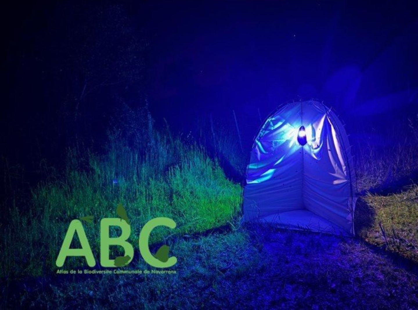 À la recherche des papillons !