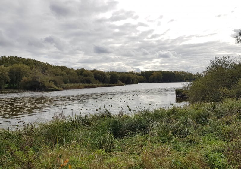 Événement Nature & Vous - Voyageurs ailés : les secrets de la migration