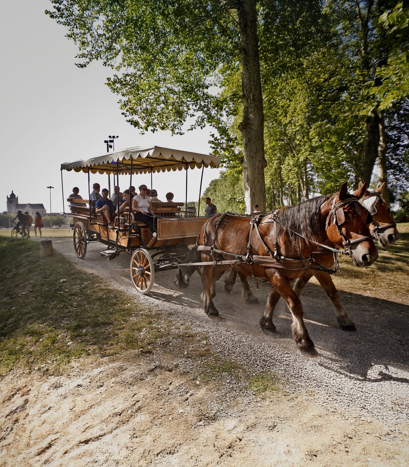 Balades en calèche