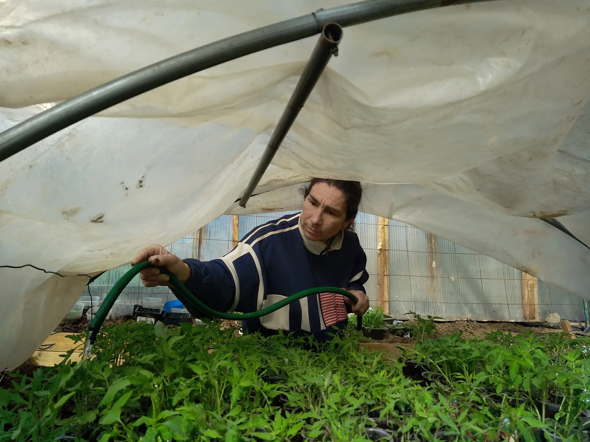 Visite de la ferme des Soldanelles