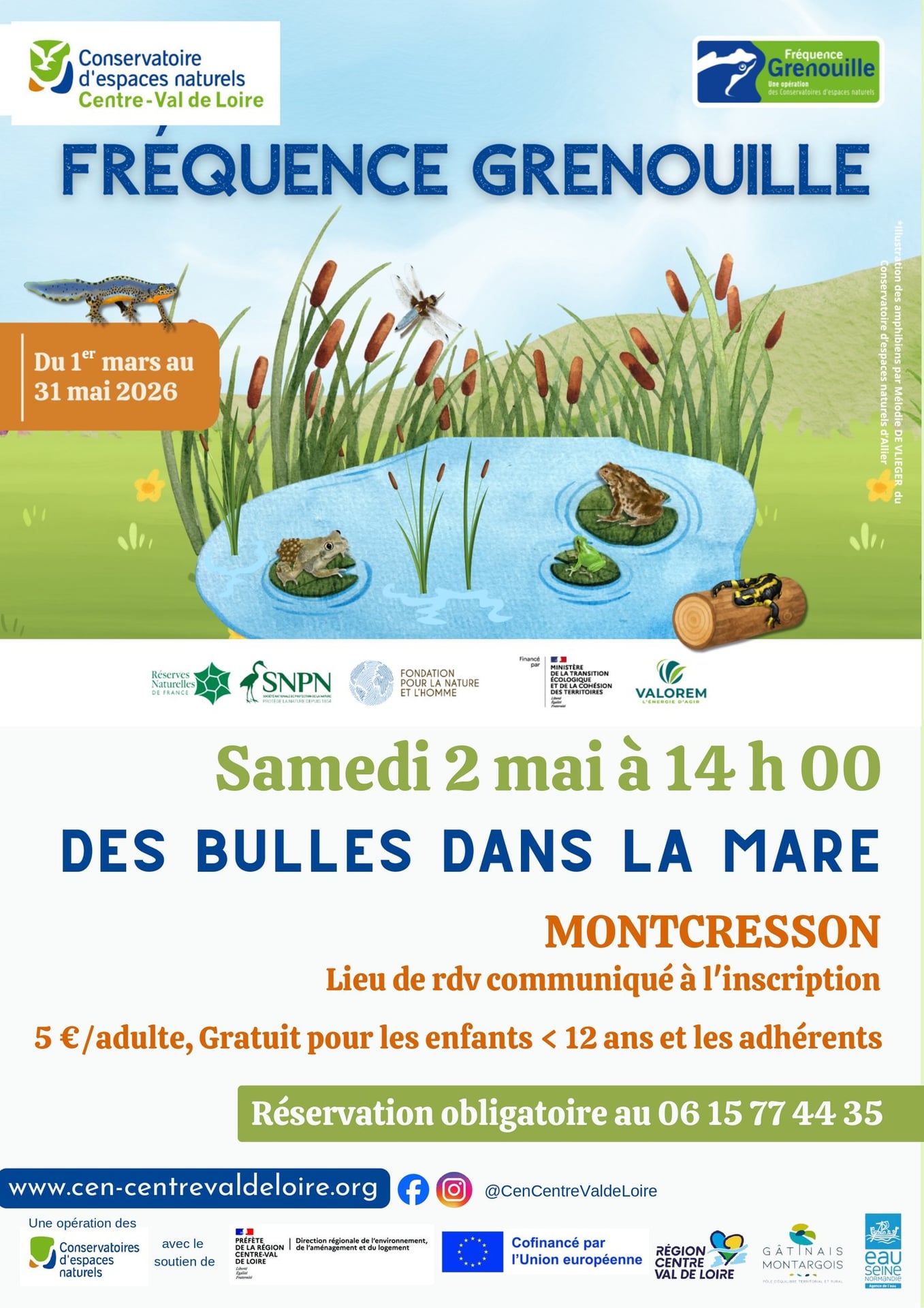 Des bulles dans la mare