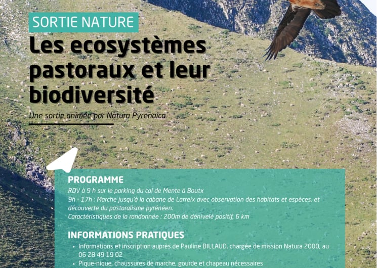 LES ECOSYSTEMES PASTORAUX ET LEUR BIODIVERSITÉ À LA CABANE DE LARREIX