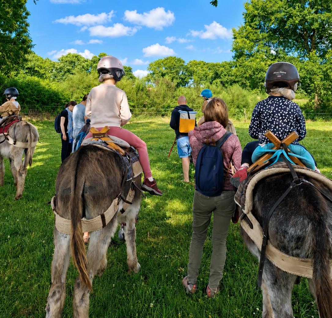 Atelier Les petits âniers