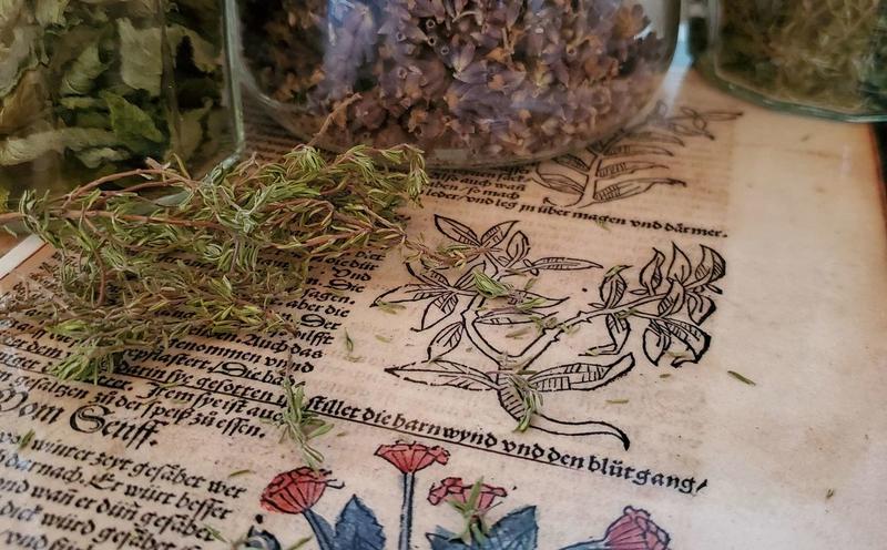 Atelier enfants : les secrets des couleurs, peintures végétales