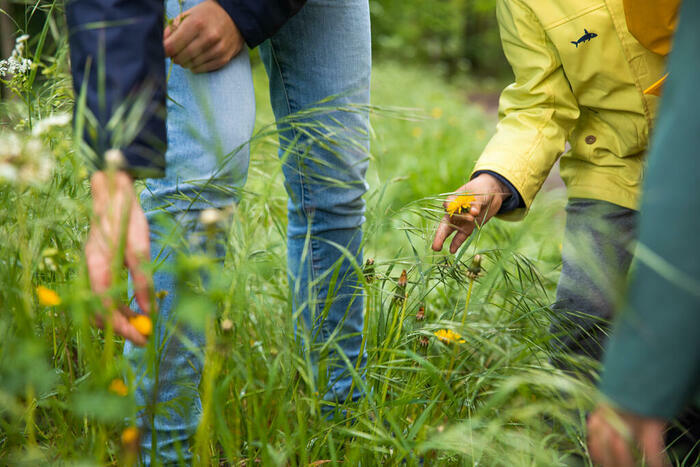 Les fleurs, quel trésor !