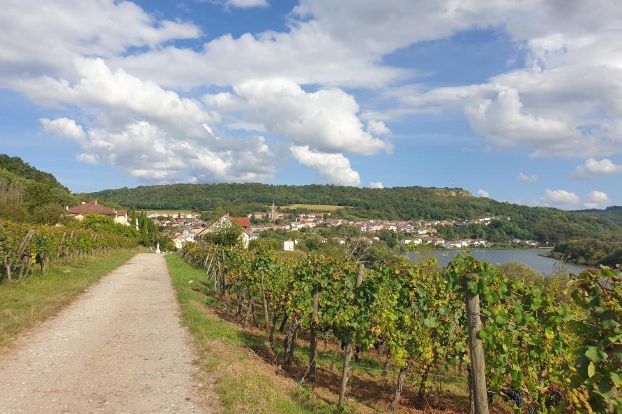 Parcours ludique "La quête viticole de Paul"