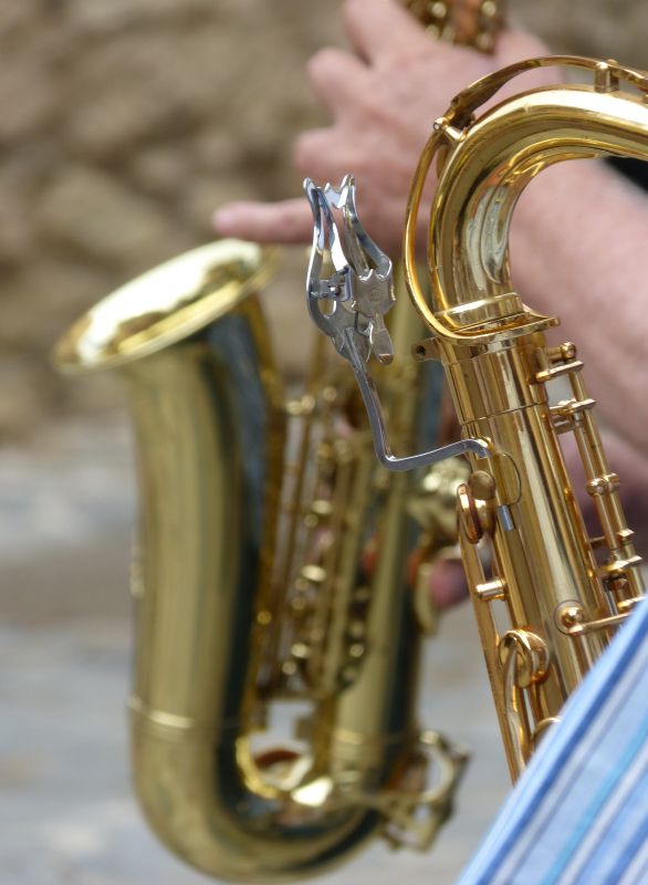 Fête de la musique au Château et Jardins de Losse
