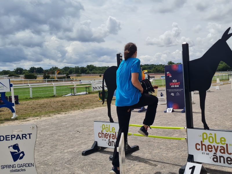 Rendez-vous hobby horsing