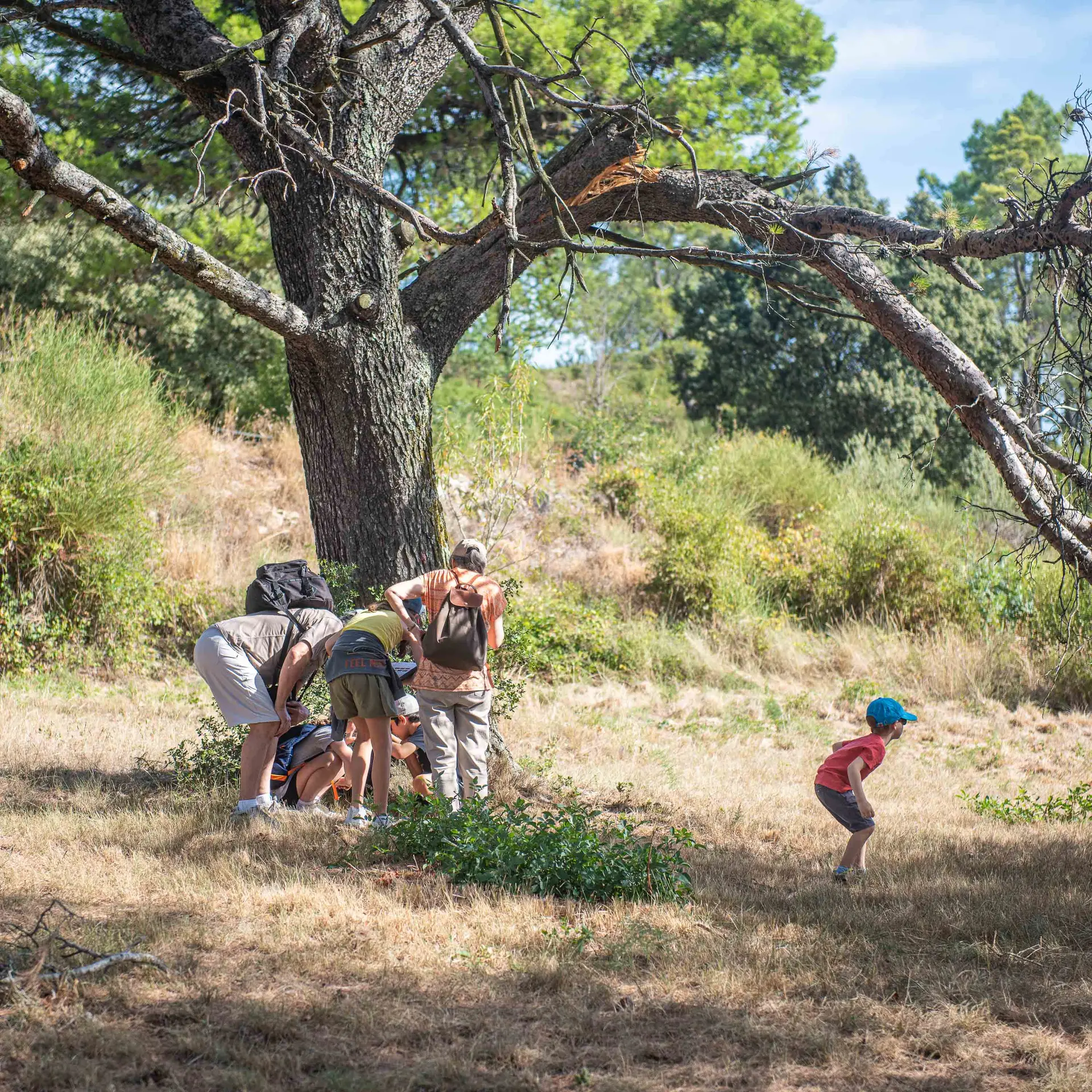 Escape Game "Voyage dans le Temps des Troglodytes" au Barry