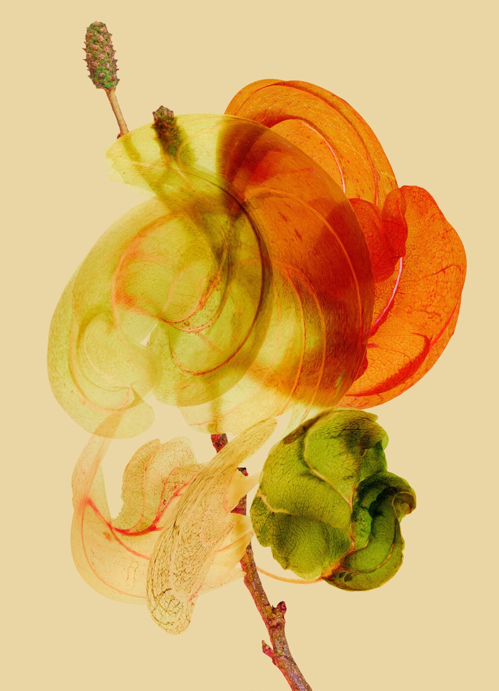 Atelier créatif en famille C'est chou