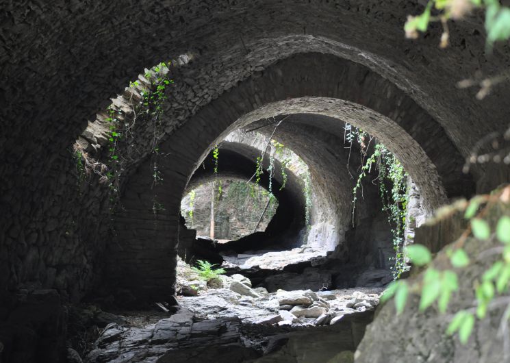 RANDONNÉE CULTURELLE DU CFD : LA MINE AU BOIS D’ARGENT